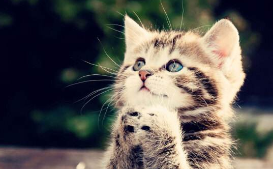 電子郵箱 電子郵箱