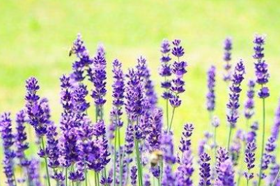 企業郵箱 企業郵箱